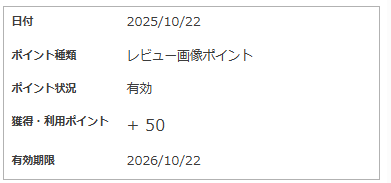 futurereviewレビューポイント（画像）